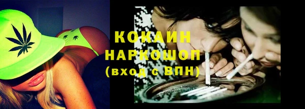 хмурый Касимов