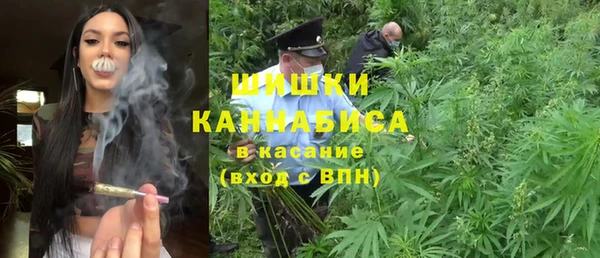 хмурый Касимов