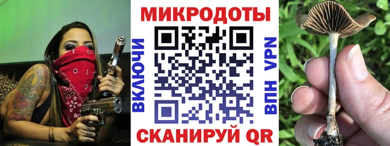 Галлюциногенные грибы Psilocybine cubensis  Купить закладки  Михайловка 